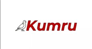 kumru ai sahibi kim yerli yapay zeka kumru ai kurucusu kim 8nYttGxX.jpg